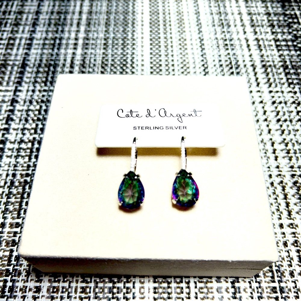 Cote d’ Argert BRAND NEW Silver toned hoop earrings ✨✨✨